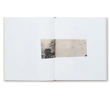 画像をギャラリービューアに読み込む, WHY I HATE CARS by Katrien De Blauwer
