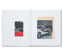 画像をギャラリービューアに読み込む, WHY I HATE CARS by Katrien De Blauwer

